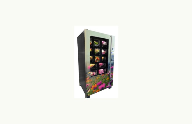 Blumenhaus Marotzke in Bremen Horn-Lehe