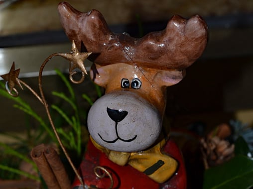 Blumenhaus Marotzke in Bremen Horn.Lehe