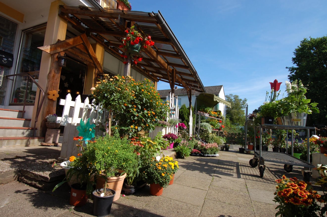Haus Oberblockland-Ferienwohnung 1, 65 qm. 4 Personen, in 28357 Bremen-Blockland