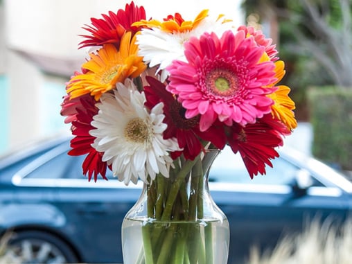 Blumenhaus Marotzke in Bremen Horn.Lehe