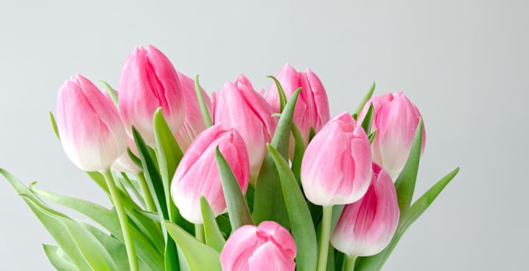 Eiscafe Cercena in Bremen Findorff und Bremen Hemelingen